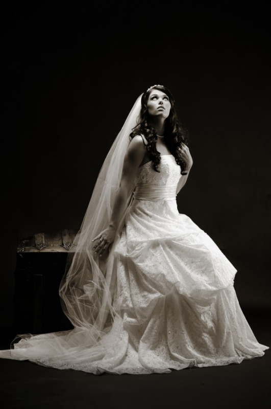 Bride in Dress 2